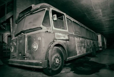 The Mexican Bus